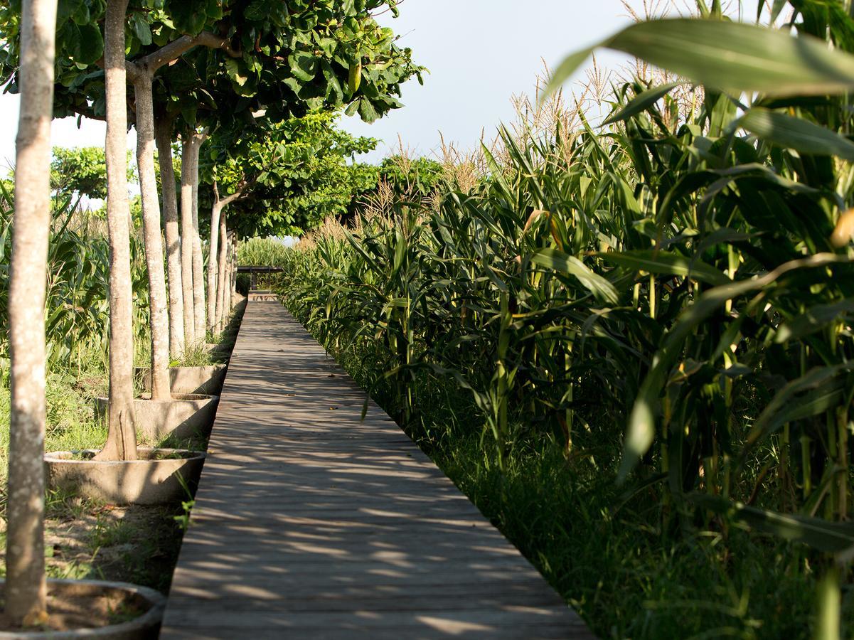 Sanur Residence 外观 照片